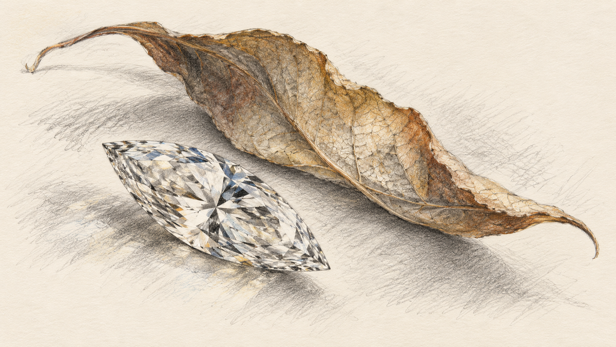 Graphite drawing of a marquise diamond beside a long folded leaf, with fine veins and delicate shadows.