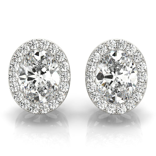 Oval Halo Studs