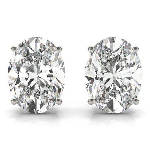 Oval Solitaire Basket Studs